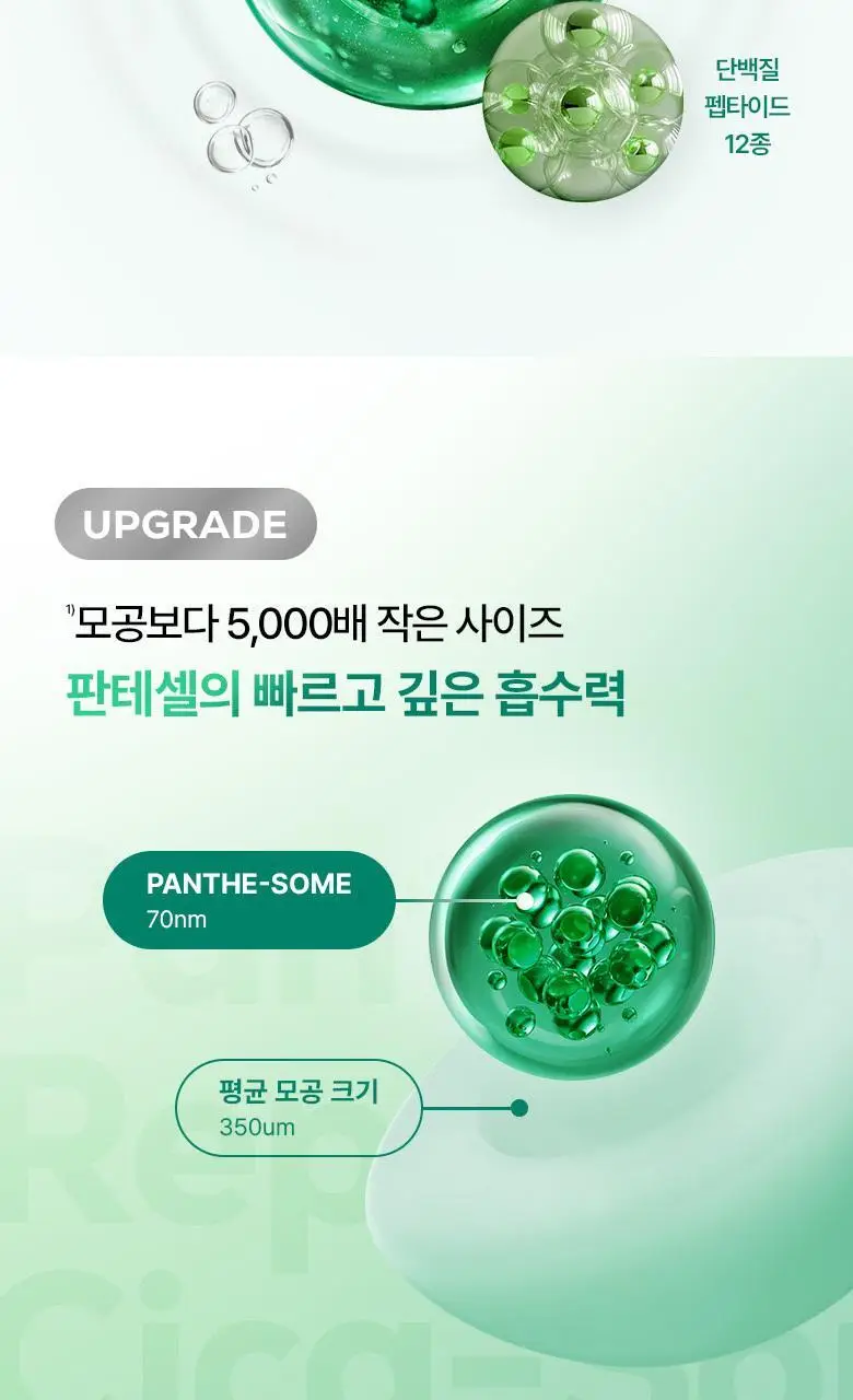 [흔적진정] 바이오힐 보 판테셀 리페어 시카좀 앰플 30ml 상세페이지 10